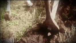 The Curse of Oak Island - Season 13 Episode 04